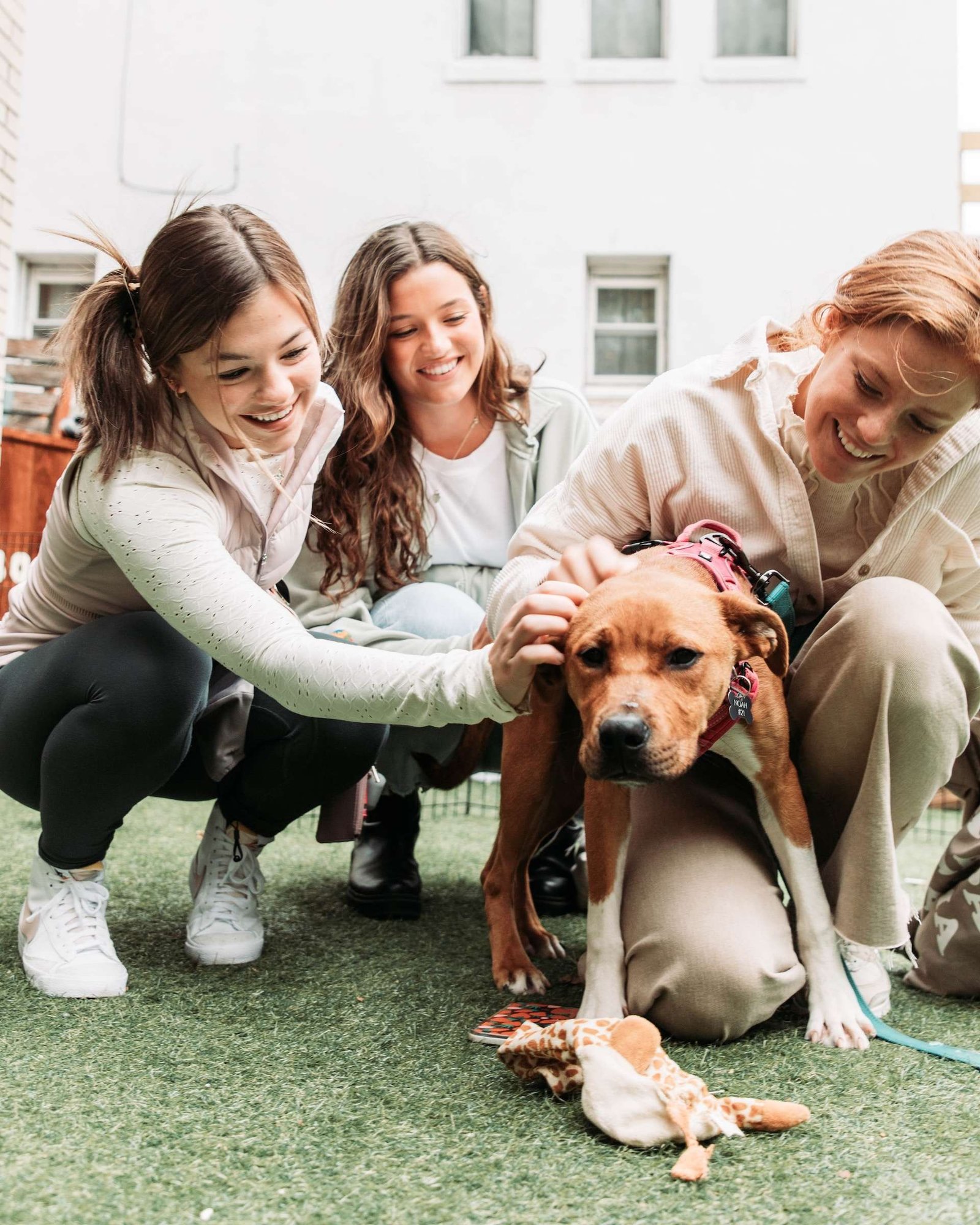 How Old Do You Have to Be to Adopt a Dog? The Big Question Answered ...