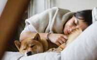 why do dogs sleep with their bum facing you