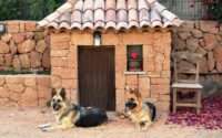 best dog houses for german shepherds