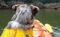 best kayak for dogs