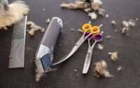 dog grooming kit